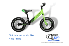 Bicicleta-nino-GW-iniciacion-rin-12